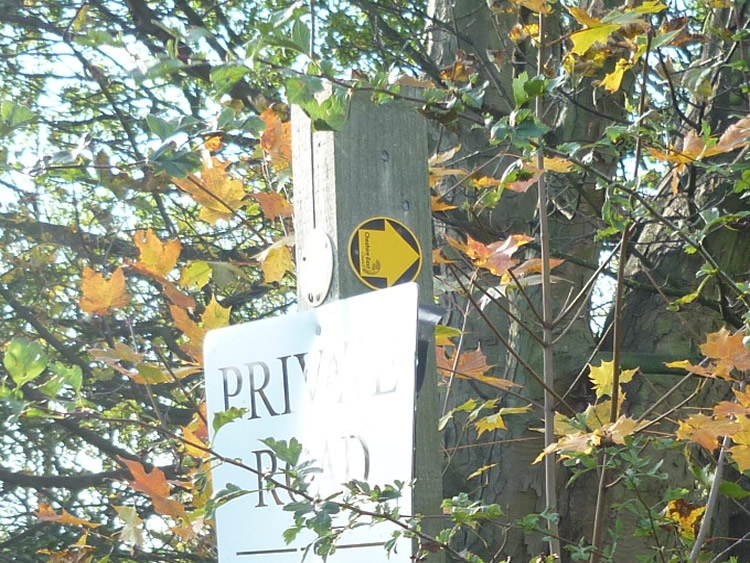 Photograph: 2011: Yellow arrows attached to post