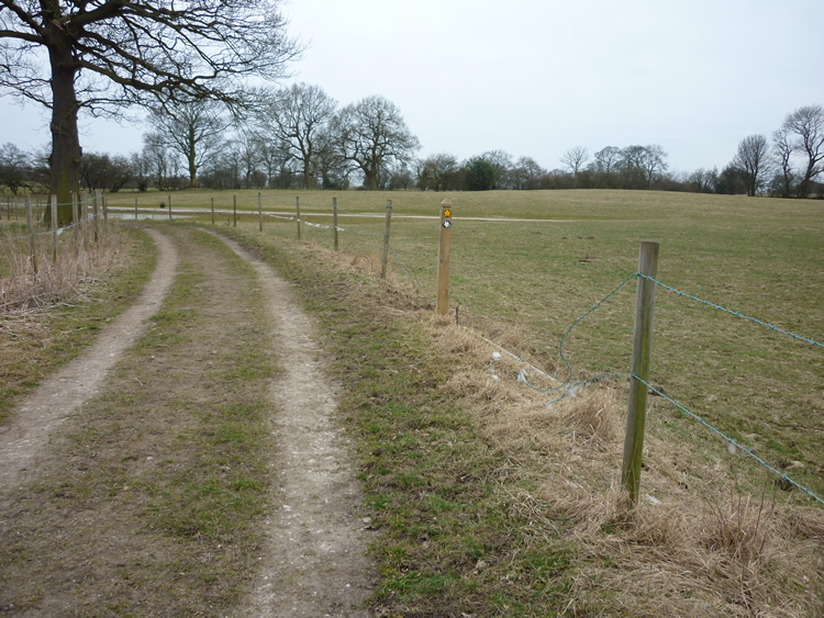 Photograph: 2010: New opening in fence, new waymark post