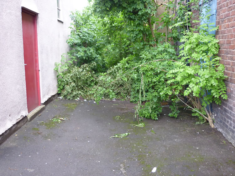 Photograph: 2009: Path obstructed by garden waste