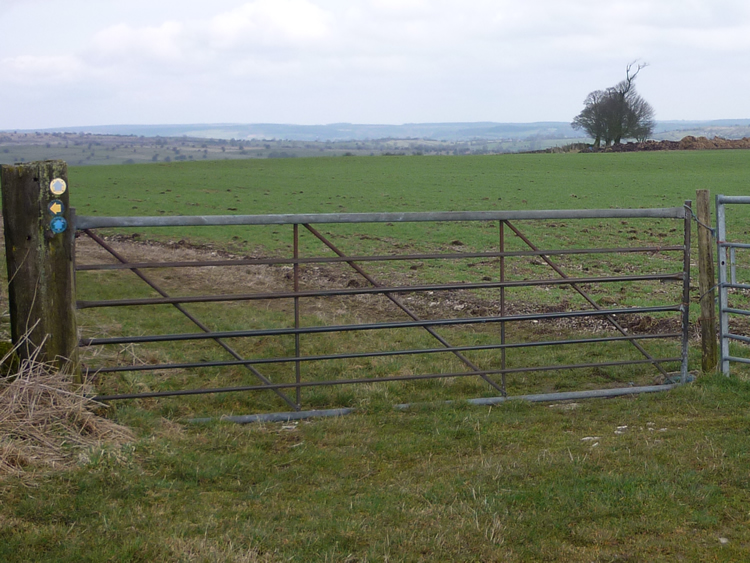 Photograph: March 2010: Gate loosely tied