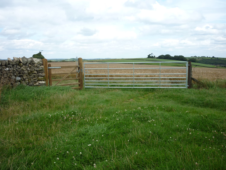 Photograph: August 2010: New improved gates