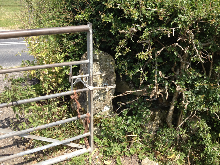 Photograph: Gate secured with knotted twine
