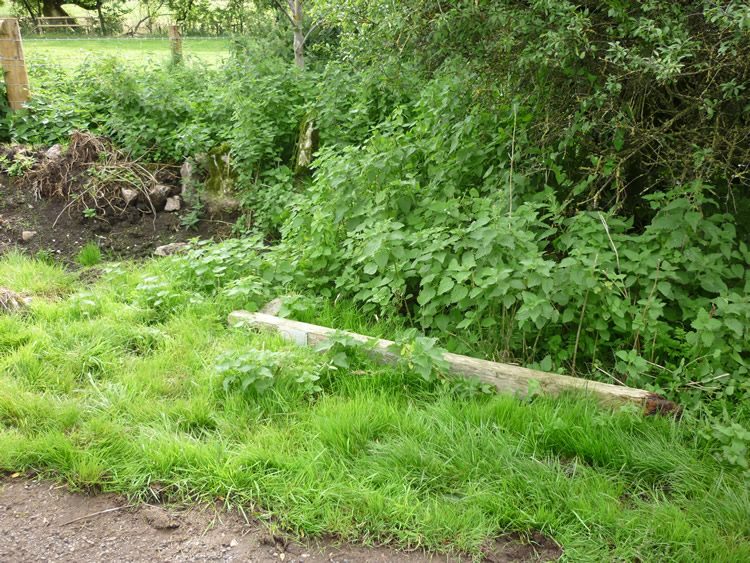 Photograph: 2010: Signpost fallen over at Tophill Lane