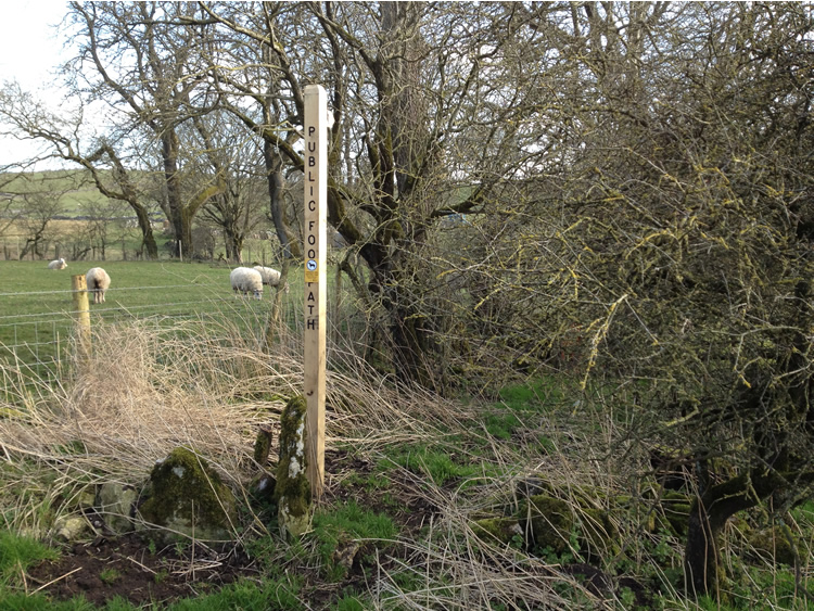 Photograph: 2012: New signpost