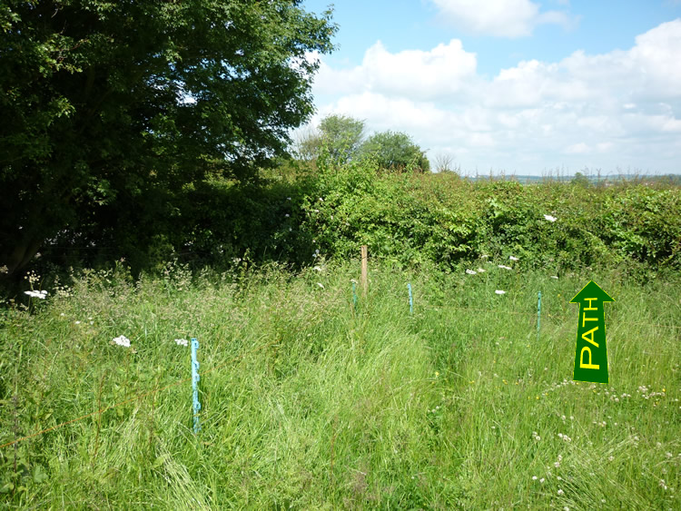 Photograph: 2009: No sign, path obstructed by hedge
