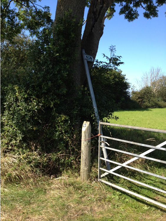 Photograph: Signpost at Buckhazels Lane uprooted and displaced.