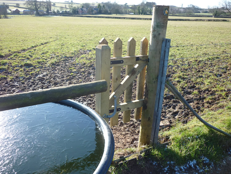 Photograph: 2010: Stile replaced by gate