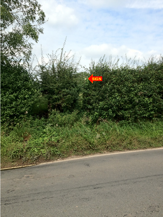Photograph: Sign badly positioned behind hedge, overgrown