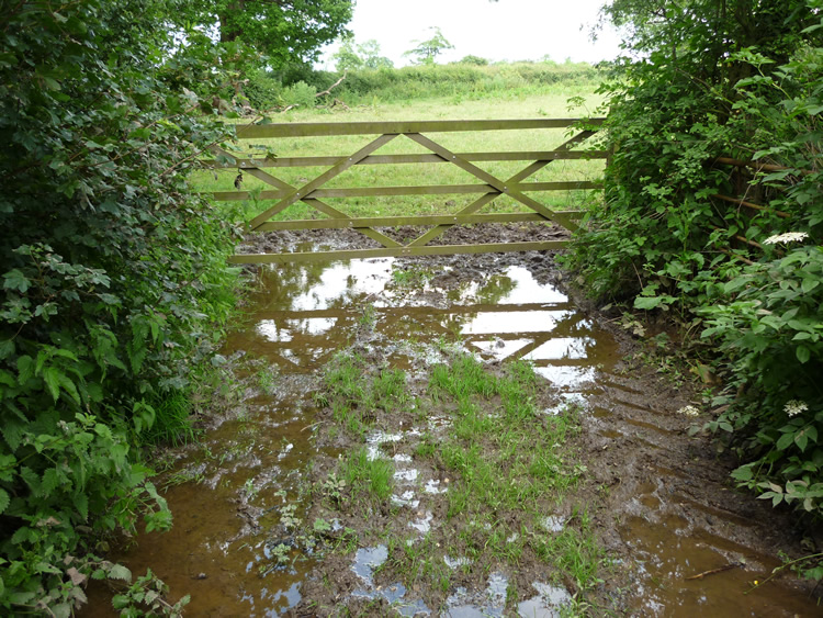 Photograph: Path obstructed by deep water and mud