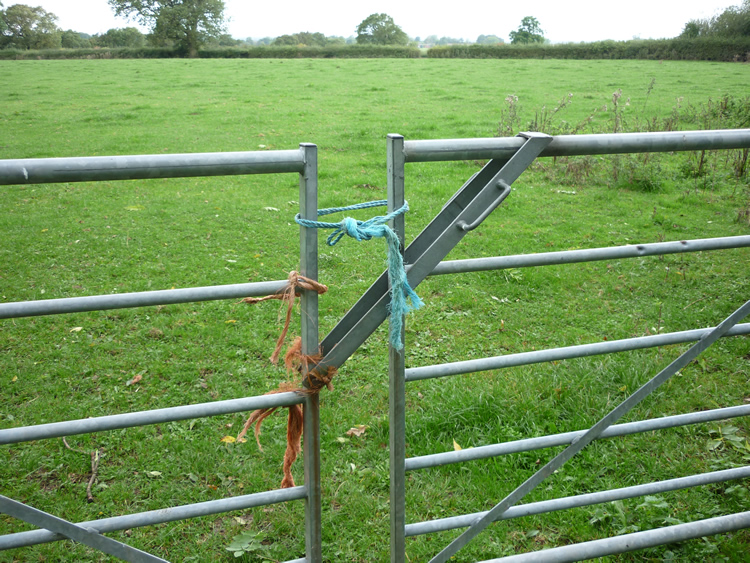 Photograph: 2010: Gates now loosely tied