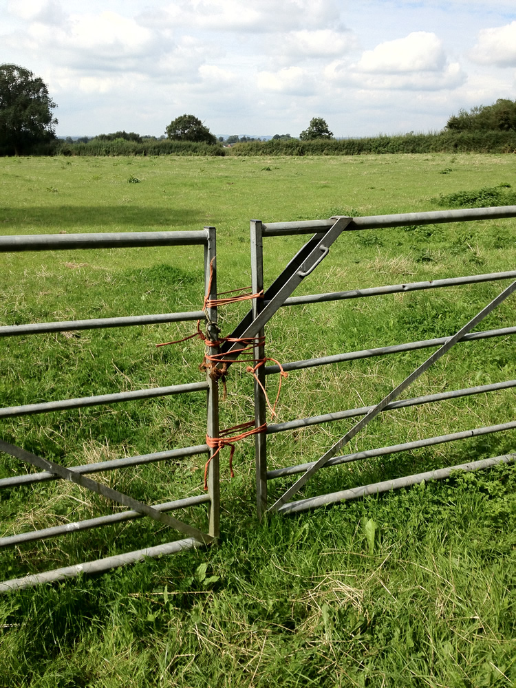 Photograph: Gate tied shut with twine