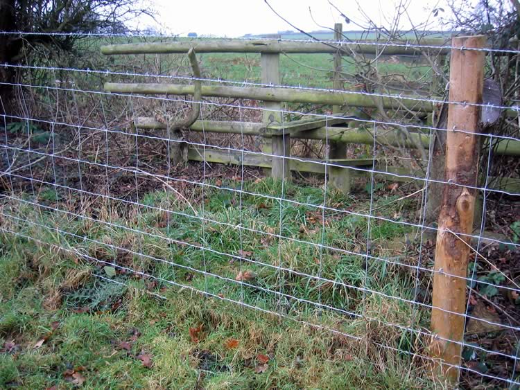 Photograph: 2007: Fence with no stile, further fence with broken stile