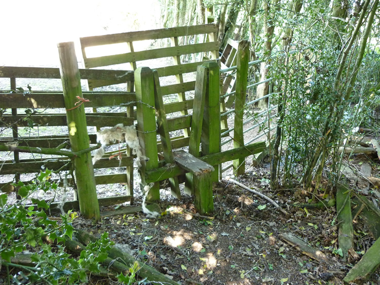 Photograph: 2009: Pallets secured with barbed wire, no way through