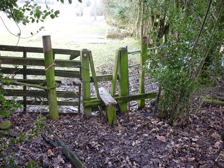 Photograph: 2010: Pallets removed, access now clear