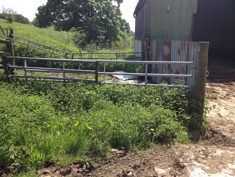 Photograph: Path obstructed by gates and hurdles at Park Farm