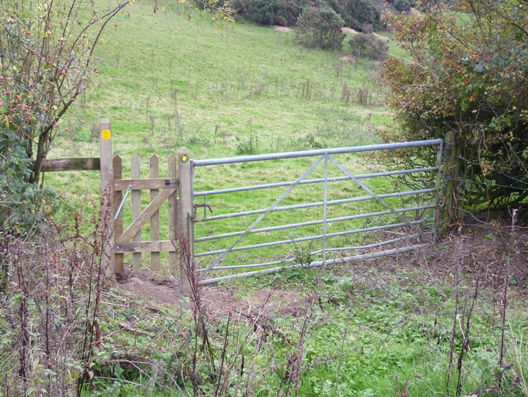 Photograph: October 2010: Way cleared, new pedestrian gate