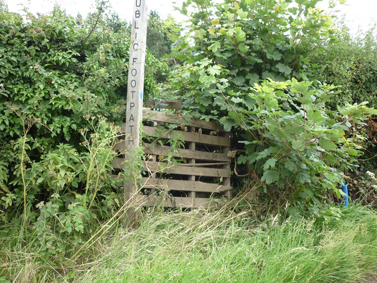 Photograph: 2009: Path obstructed by pallets