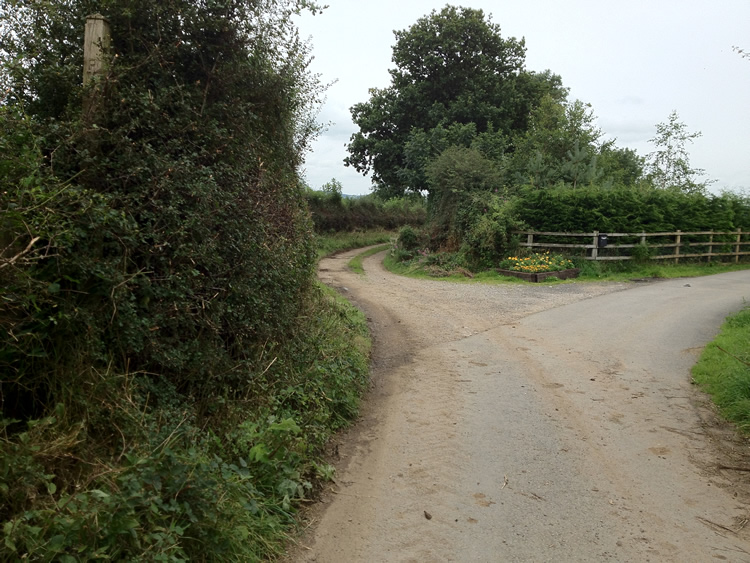 Photograph: Signpost obscured by hedge