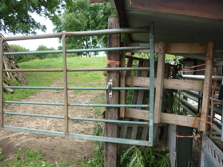 Photograph: 2009: Gate jammed shut