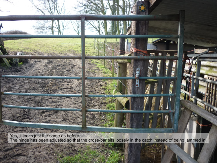 Photograph: 2010: Gate freed