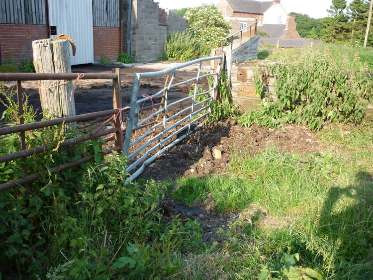 Photograph: 2009: Path obstructed by hurdles