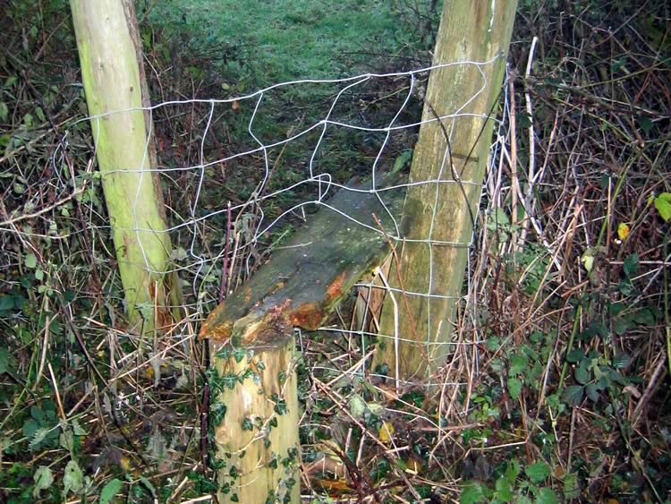 Photograph: 2007: Decaying stile