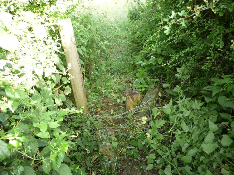 Photograph: 2009: Stile and fence collapsed completely