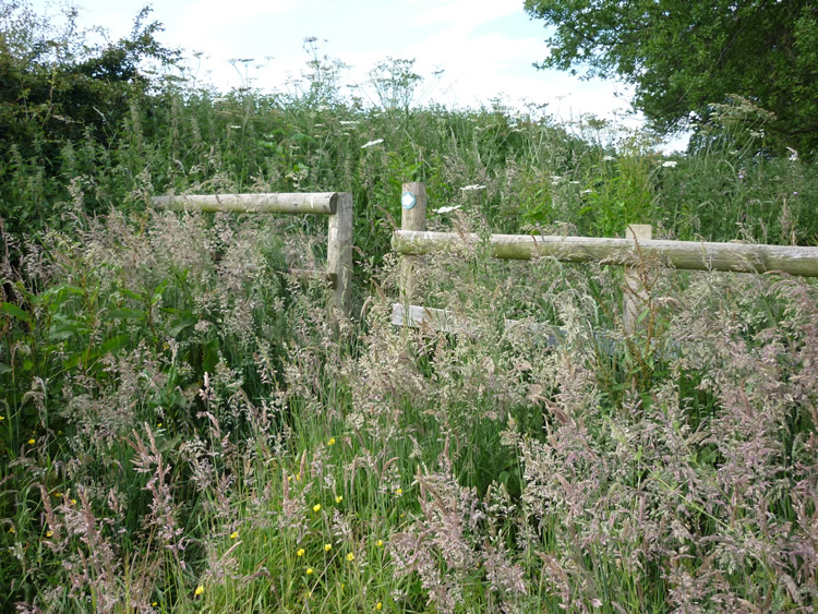 Photograph: 2009: New fence and squeeze stile