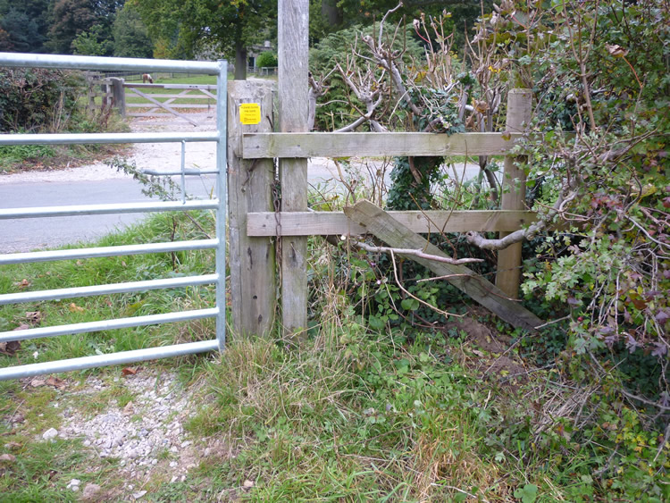 Photograph: October 2010: Twine removed, gate can be opened