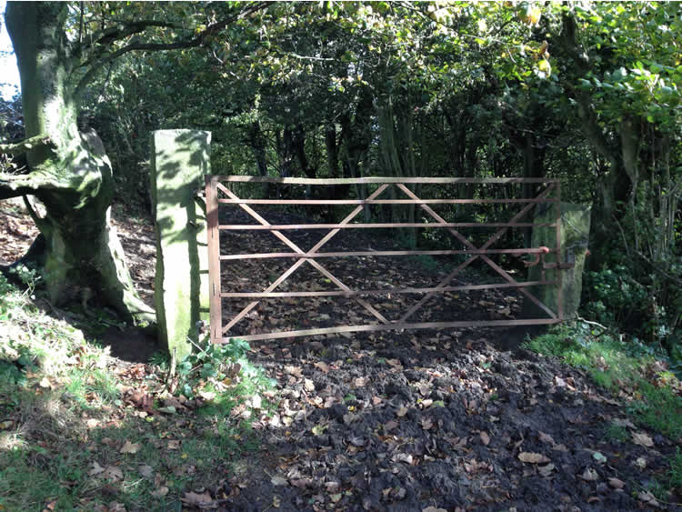 Photograph: Gate secured shut with barbed wire