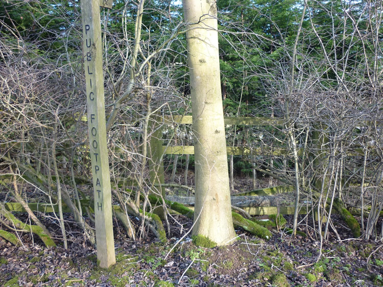 Photograph: 2010: Path obstructed by wooden fence, overgrown
